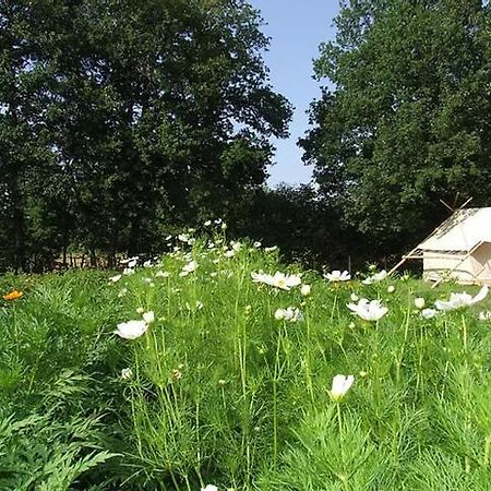 فندق Saint-Vincent-en-Bresseفي  Ferme De La Marliere المظهر الخارجي الصورة